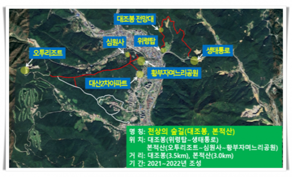 higw2) 태백시 산책로 숲길 현장점검 (2).png